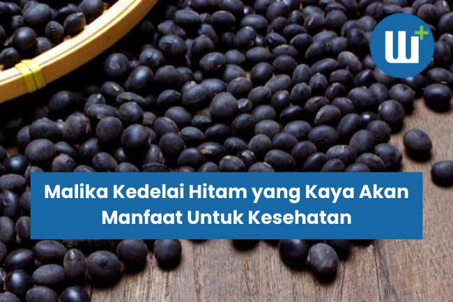 Malika Kedelai Hitam yang Kaya Akan Manfaat Untuk Kesehatan